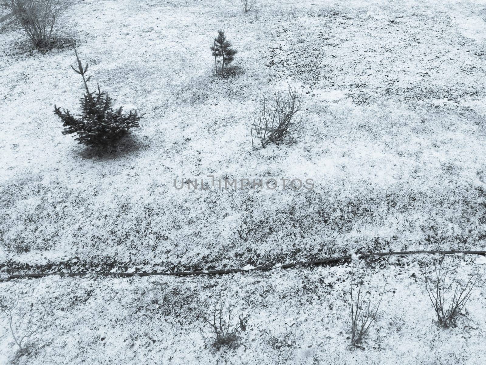 First snow covers the ground on the yard