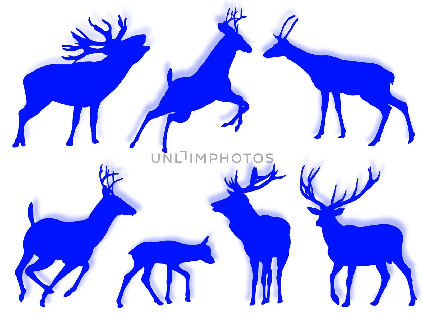 Buch silhouettes in different poses and attitudes