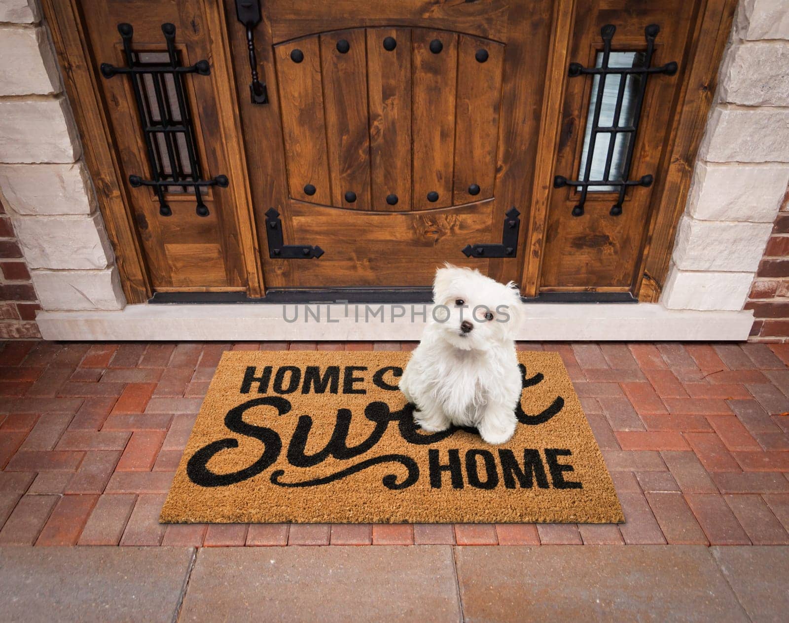 Maltese Puppy Sitting Home Sweet Home Welcome Mat At Front Door Of House.