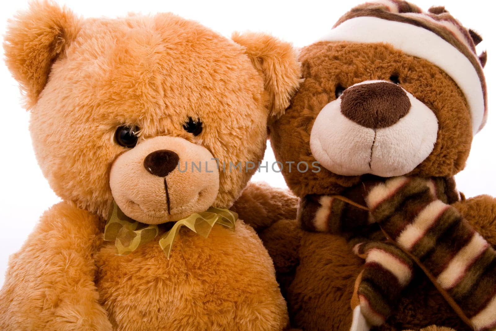 Teddy bear stodui shot