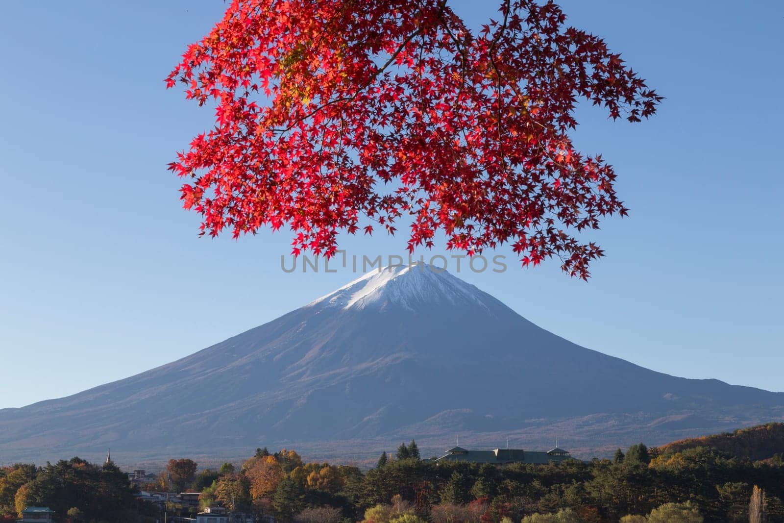 This photo was shot from the area around Mt.Fuji in Autumn. It is time to start snow cap on the top of Mt.Fuji and maple leaves change to autumn color. There are 5 lakes around Mt.Fuji.