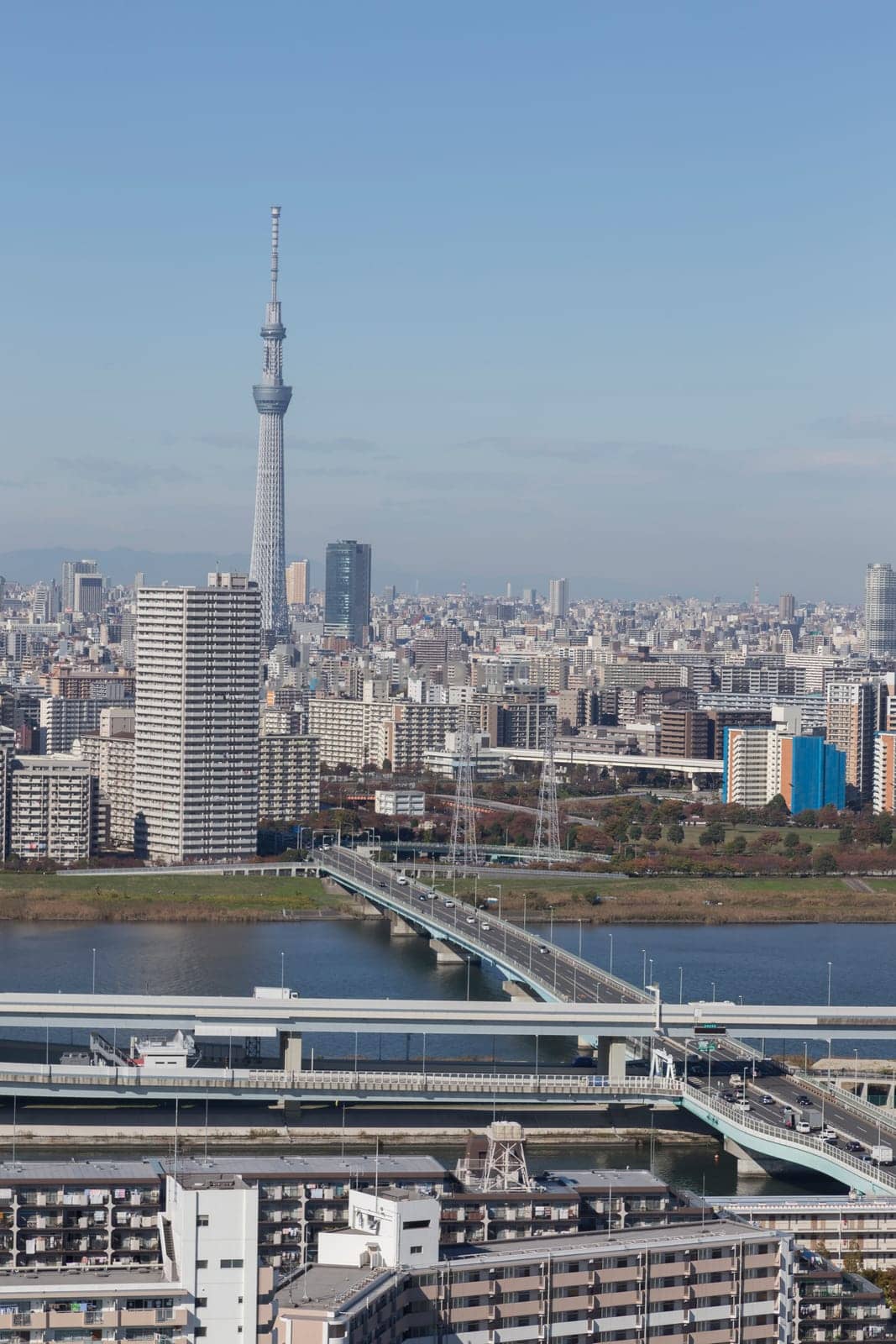 This photo was shot from Tokyo city which is the capital city of Japan. Tokyo is one of the big and busy city in the world but aslo the most beautiful. The japanese also nice.