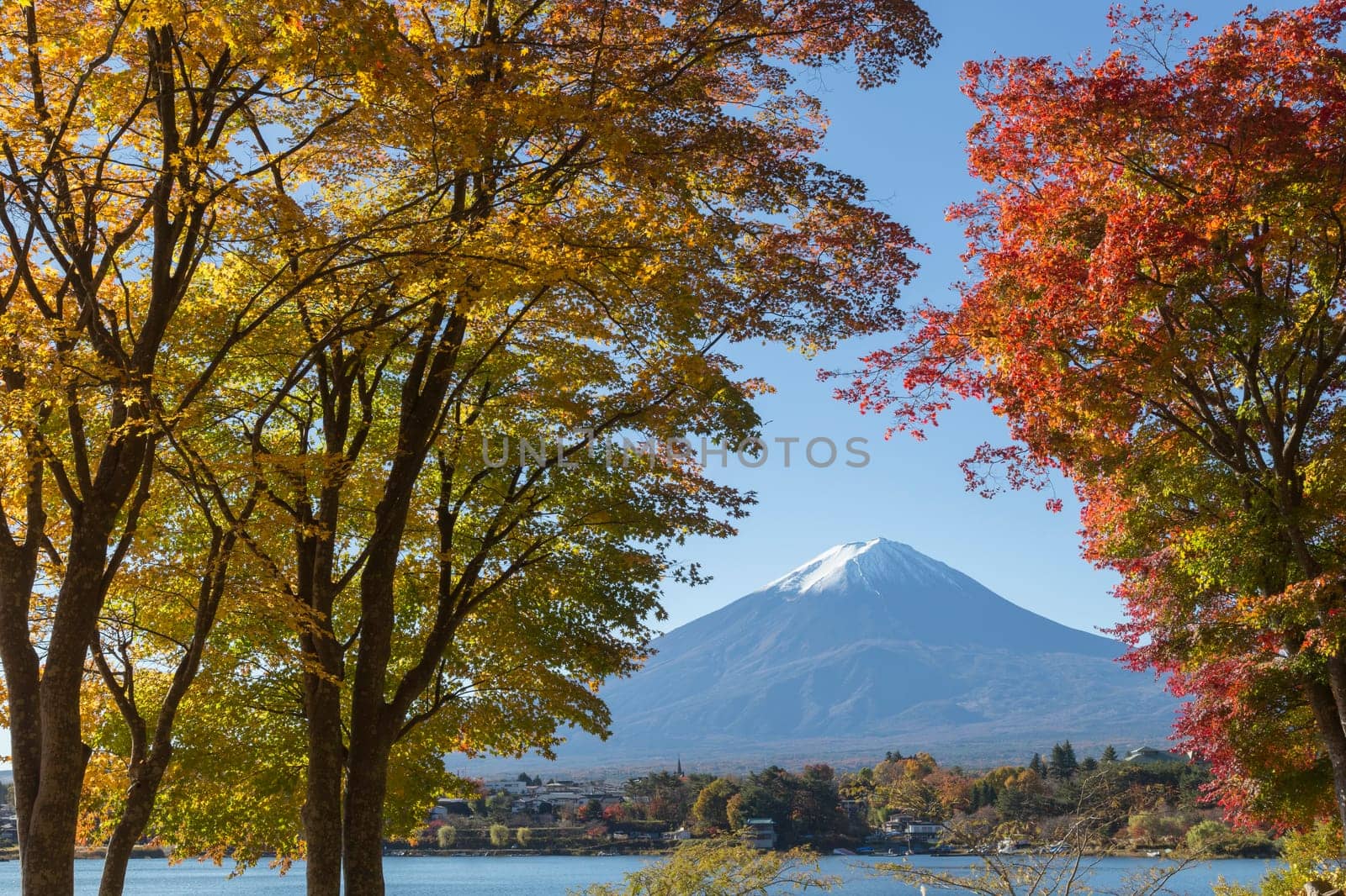 This photo was shot from the area around Mt.Fuji in Autumn. It is time to start snow cap on the top of Mt.Fuji and maple leaves change to autumn color. There are 5 lakes around Mt.Fuji.