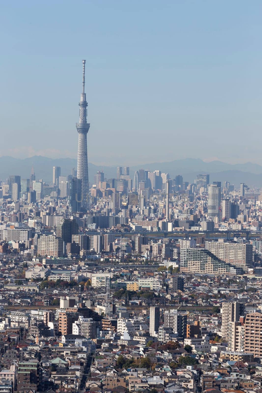This photo was shot from Tokyo city which is the capital city of Japan. Tokyo is one of the big and busy city in the world but aslo the most beautiful. The japanese also nice.