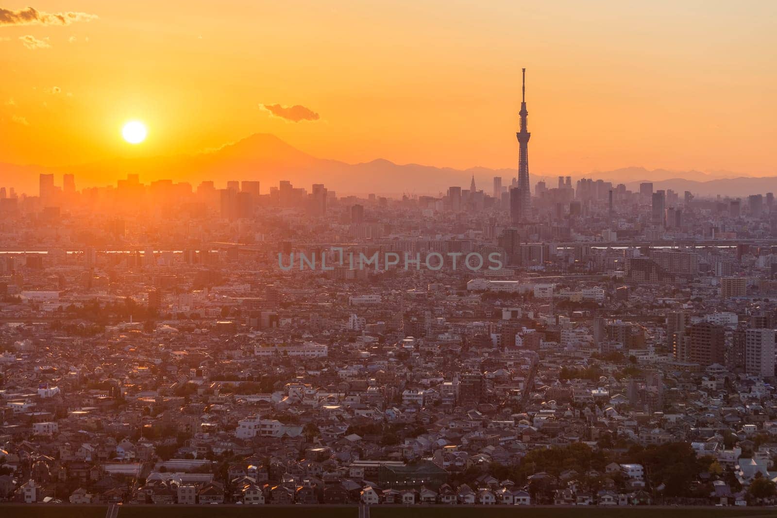 This photo was shot from Tokyo city which is the capital city of Japan. Tokyo is one of the big and busy city in the world but aslo the most beautiful. The japanese also nice.