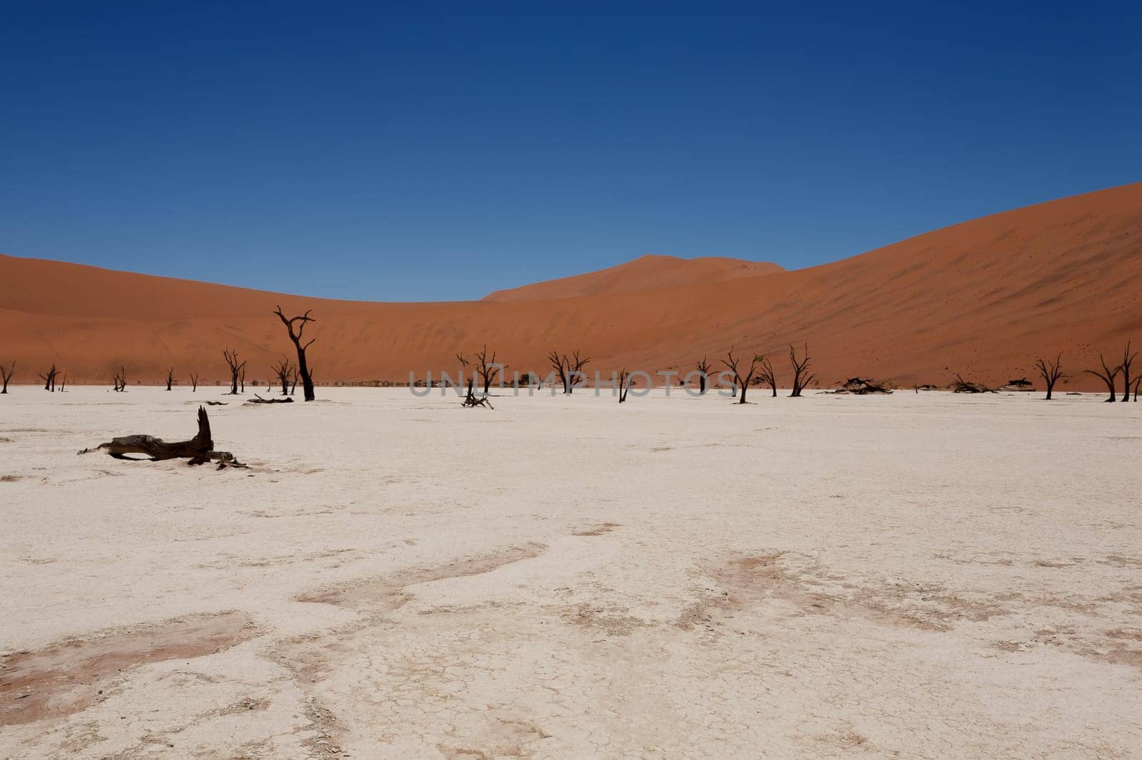 A view from Dead Vlei, Sossusvlei Namibia