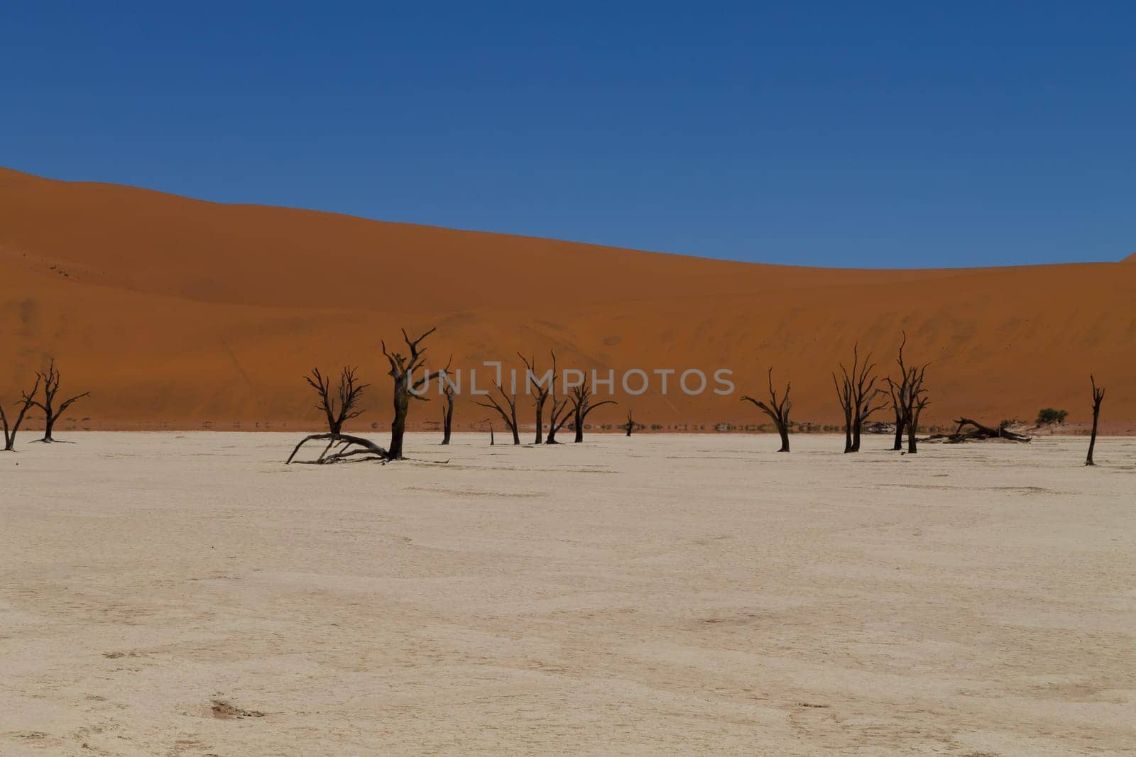 A view from Dead Vlei, Sossusvlei Namibia