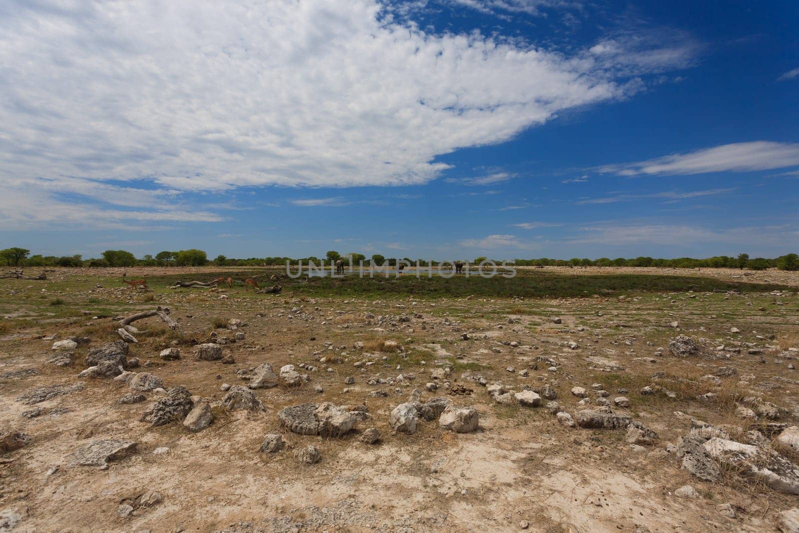 Panorama from Etosha National Park, Namibia