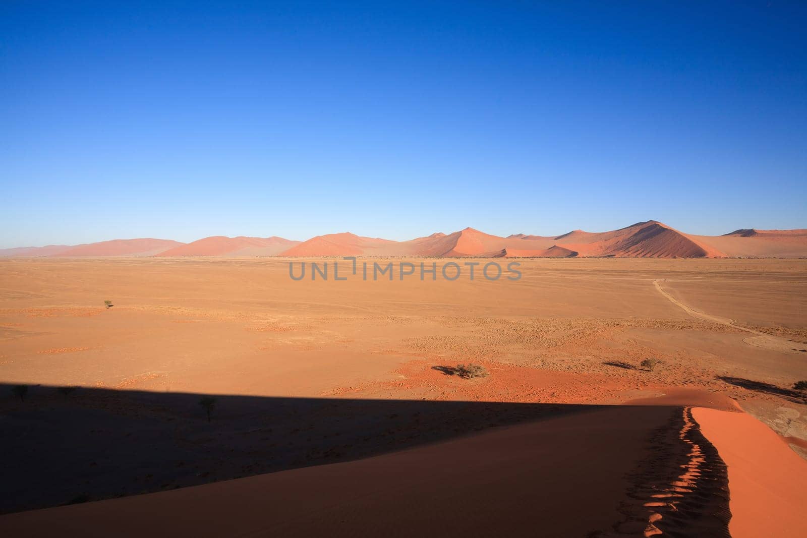 Red dune on the road to Sossusvlei, Namibia