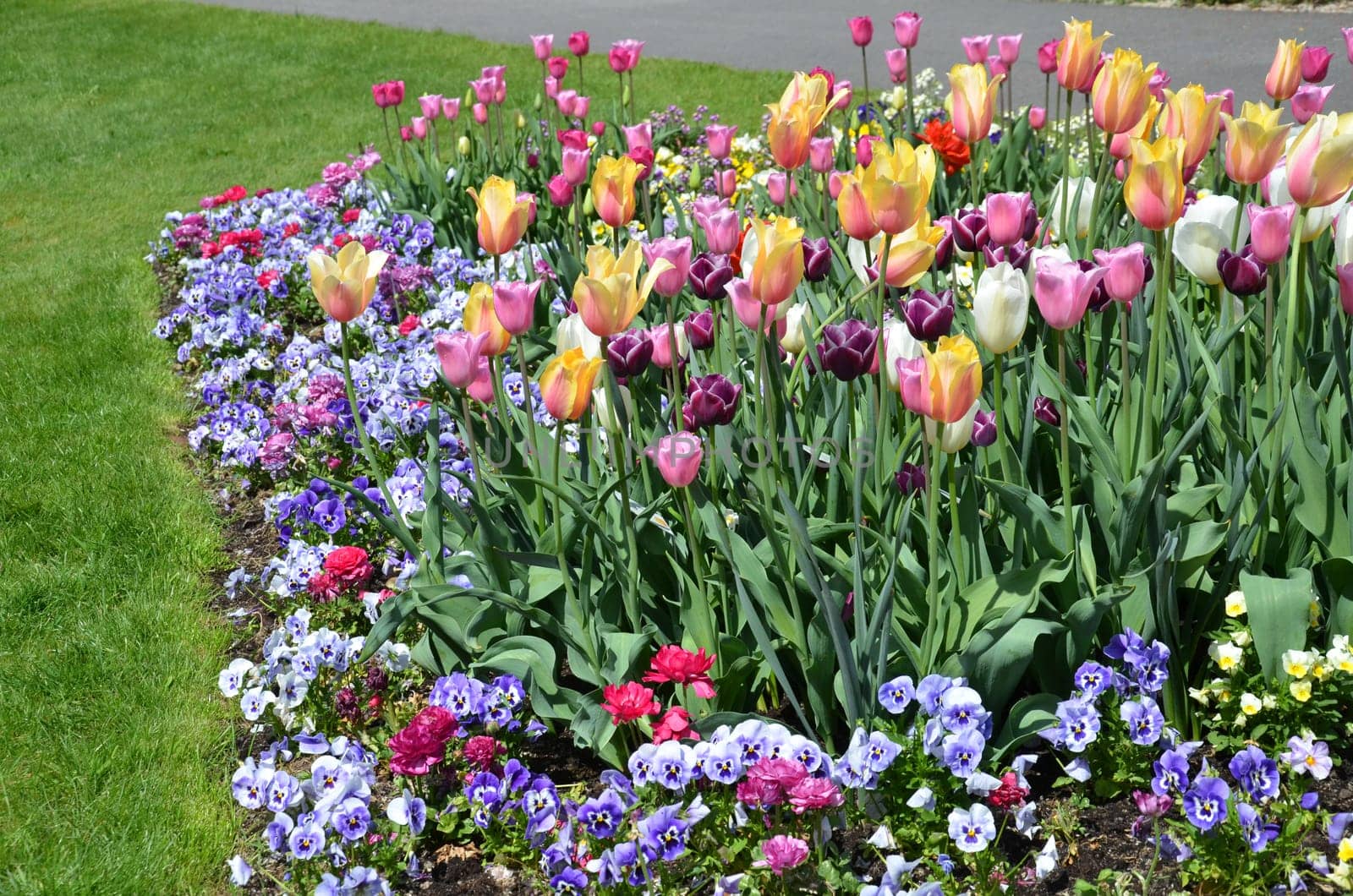Flowerbed
