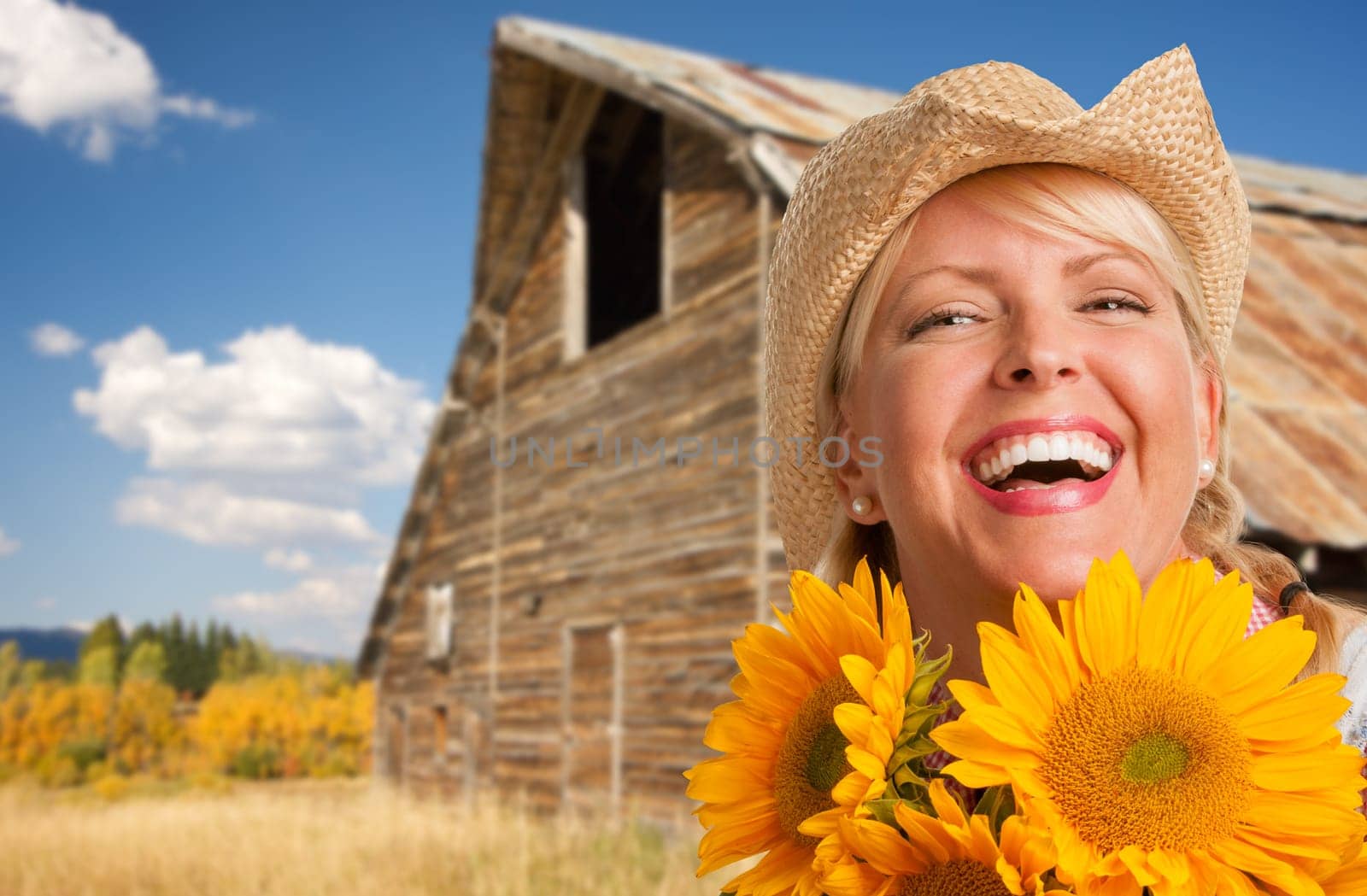Beautiful Caucasian Young Woman Wearing Cowboy Hat Holding Sunflower In Front of Rustic Barn In The Country.
