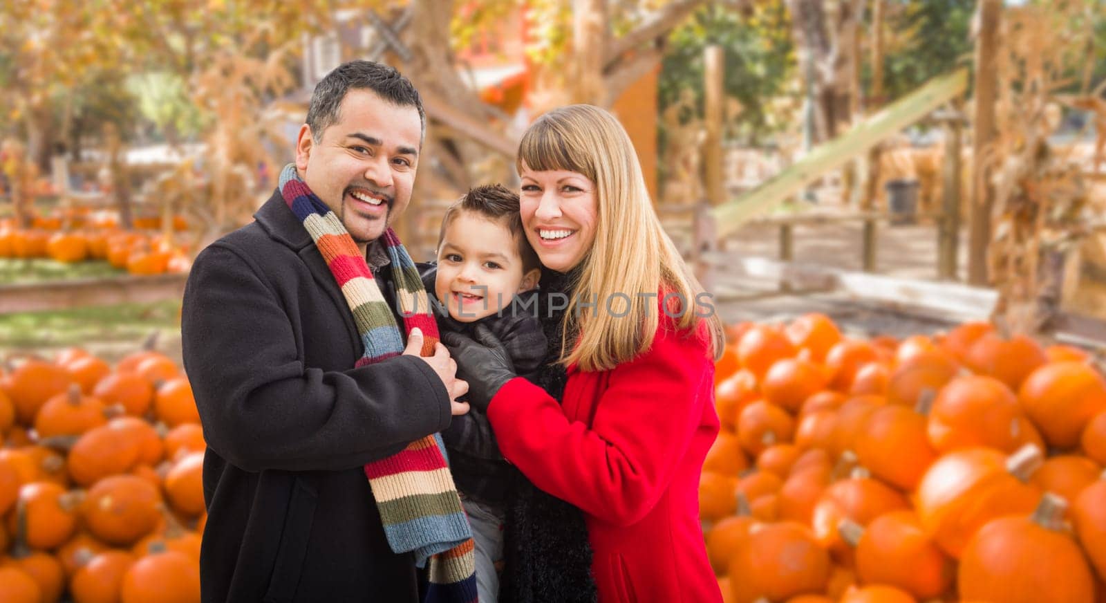 Happy Biracial Family Having Fun at the Pumpkin Patch Farm.