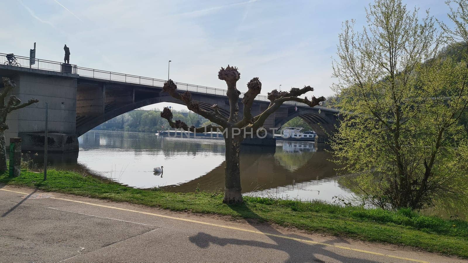 Schweich an der Mosel, a village in Germany, in the background the Moselle Bridge