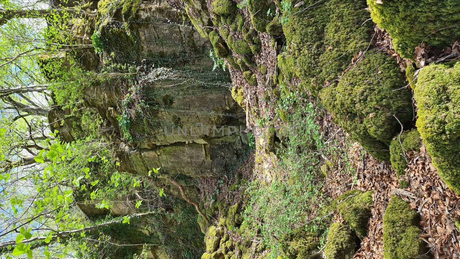 Old vineyards in Rosport in the Moselle Valley on the border between Luxembourg and Germany on the hiking trail "Hoelt R7 - In the footsteps of the white woman"""