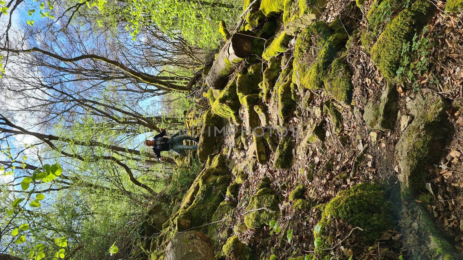 Old vineyards in Rosport in the Moselle Valley on the border between Luxembourg and Germany on the hiking trail "Hoelt R7 - In the footsteps of the white woman"""