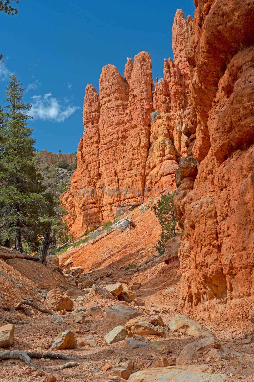 Remote Canyon in the Red Rocks Wilderness in Utah