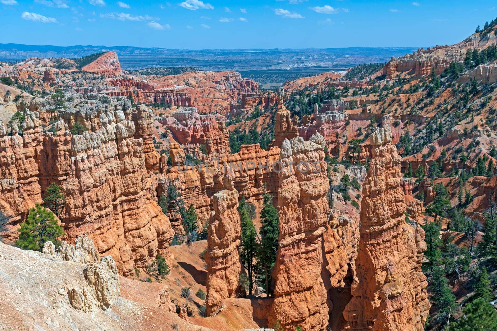 Hoodoo Panorama in Fairyland in Bryce Canyon National Park in Utah