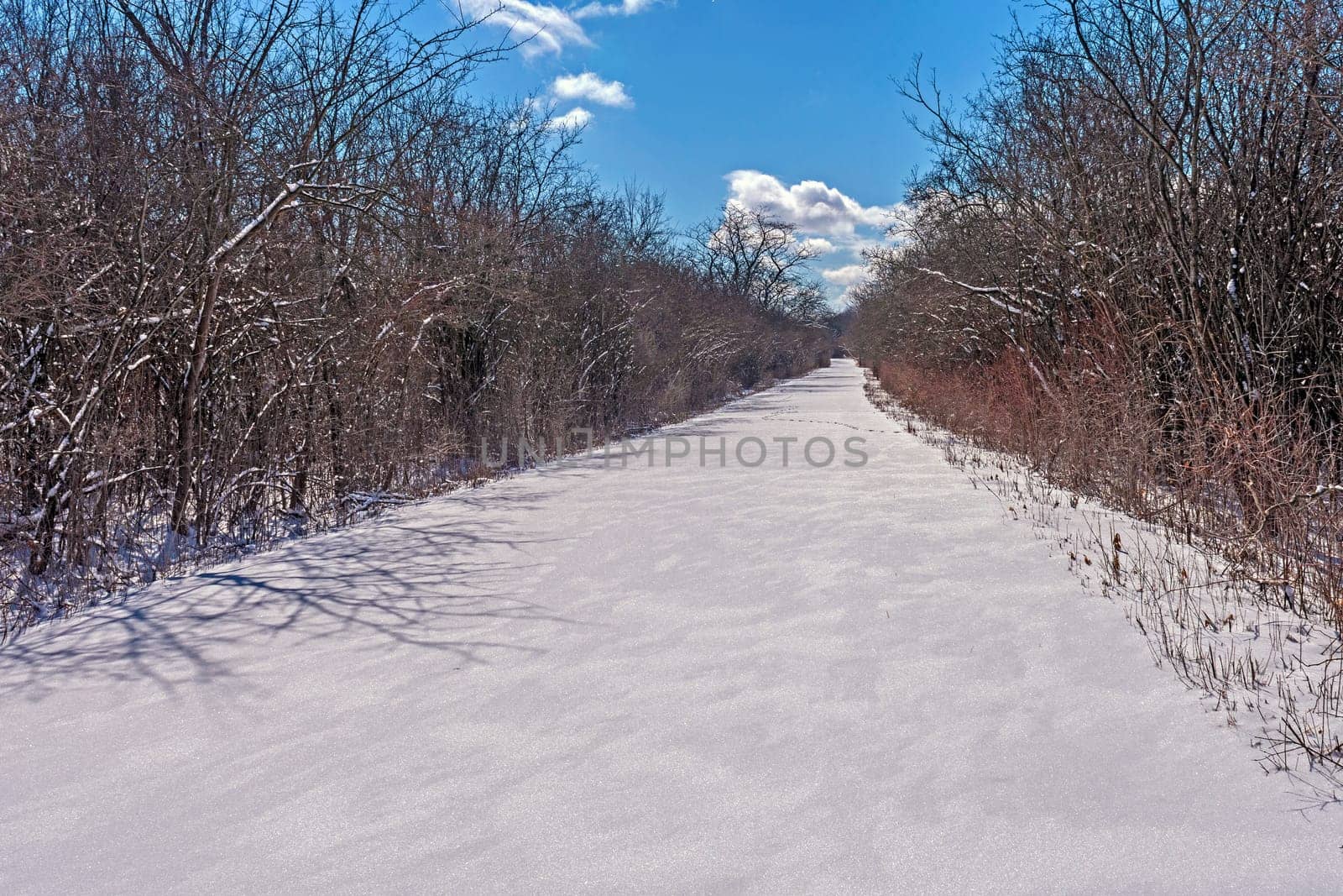 Unbroken Snow on a Rural Road in the Crabtree Nature Center in Illinois