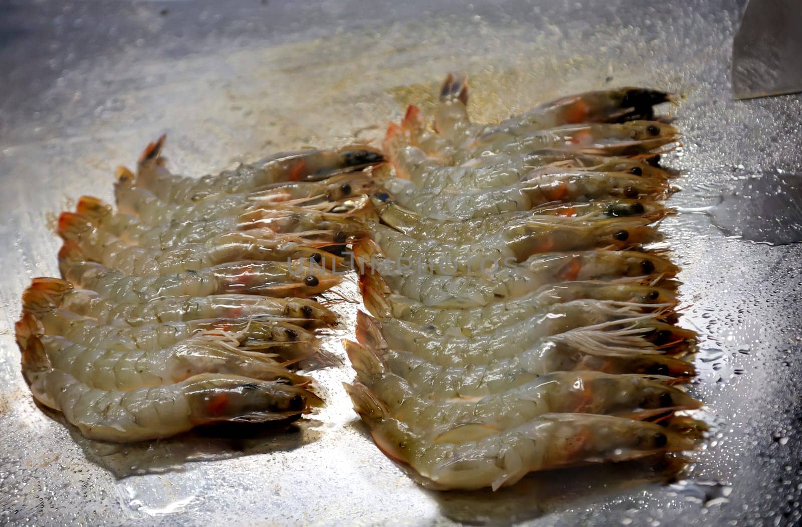 On a hot frying surface, many shrimp lie next to each other.