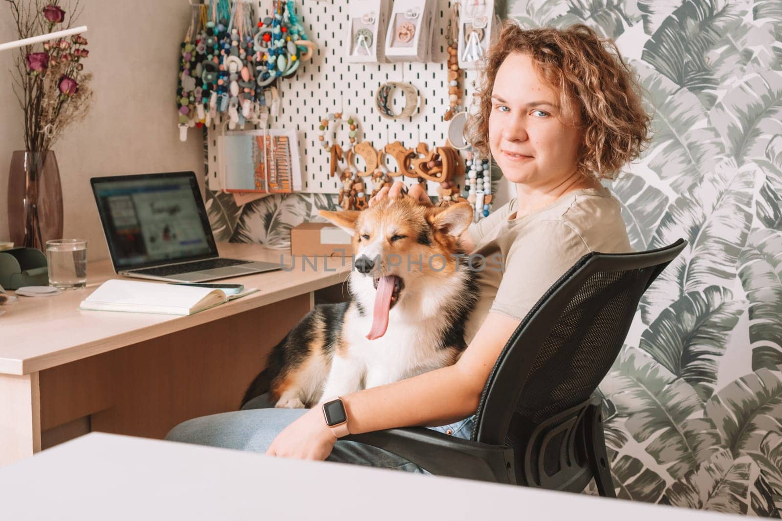 Curly haired cheerful woman, owner with dog corgi sitting, in computer chair near laptop at workplace indoors. Small business, rattles, teethers for babies. Home office, online store, marketplace.