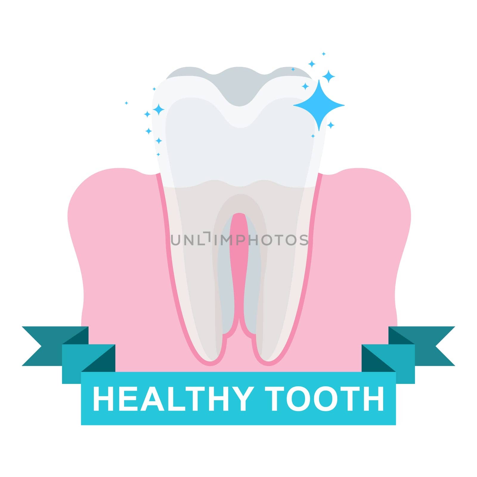 Healthy tooth and gum. Flat vector cartoon illustration. Objects isolated on white background.