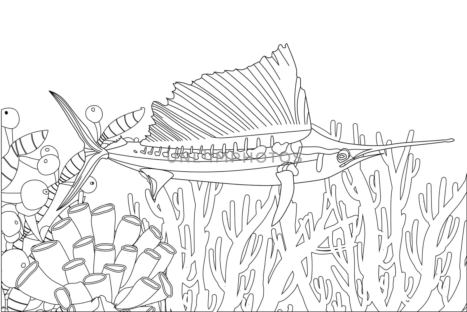 Fish exotic coloring. Antistress coloring page. Sea creatures. Ocean fish. Vector illustration.