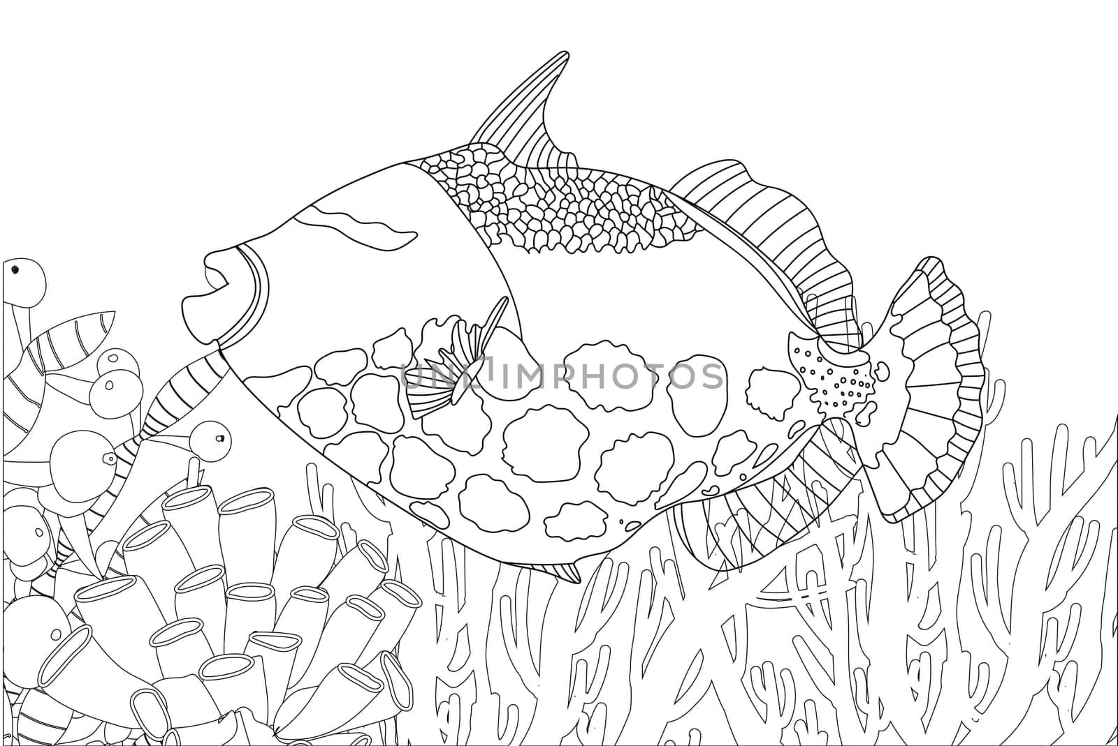 Fish exotic coloring. Antistress coloring page. Sea creatures. Ocean fish. Vector illustration.