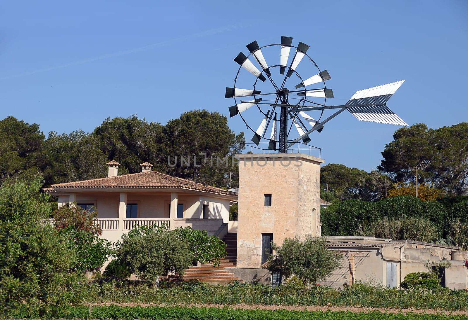 Windmumel Mallorca