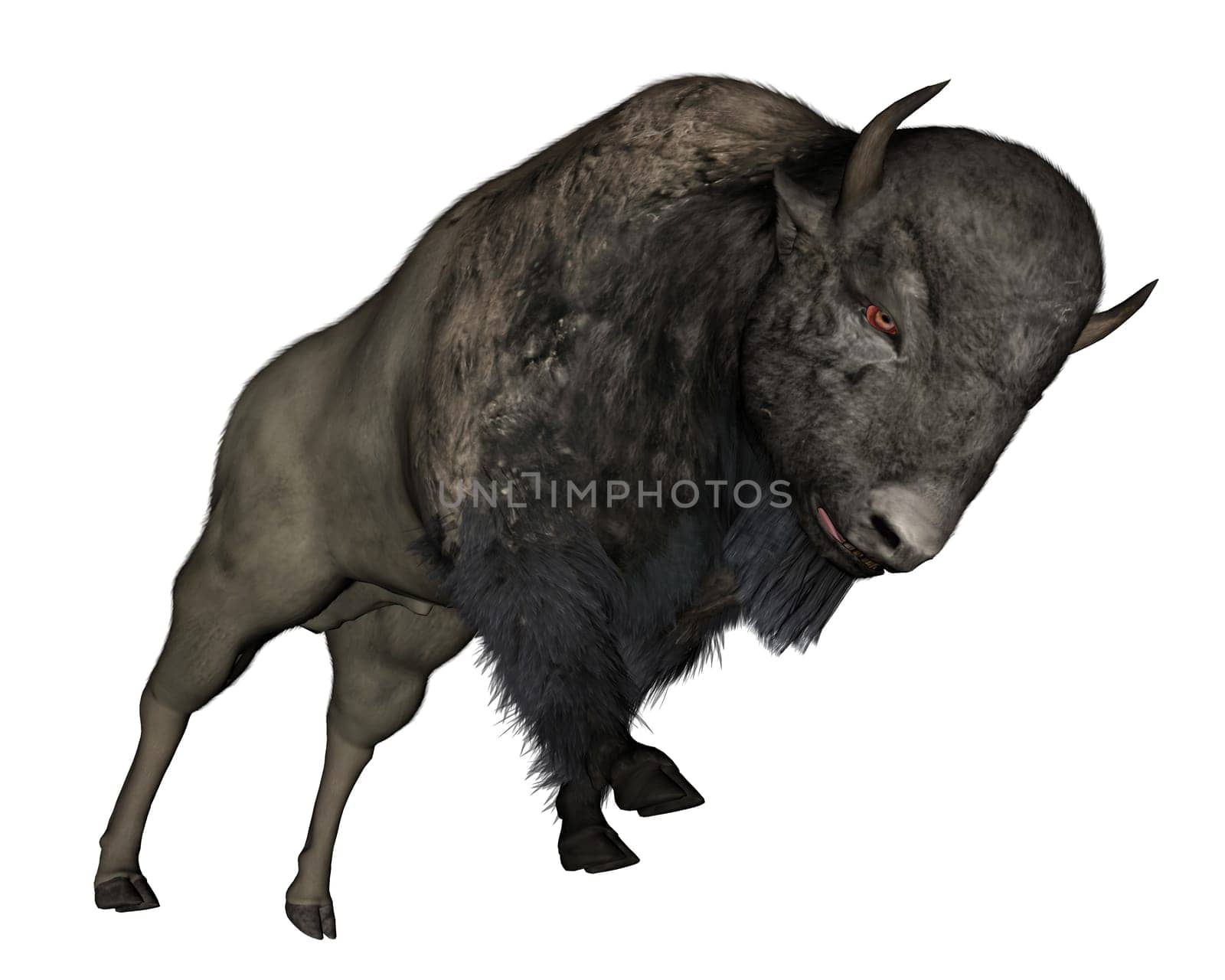 Bison charging isolated in white background - 3D render