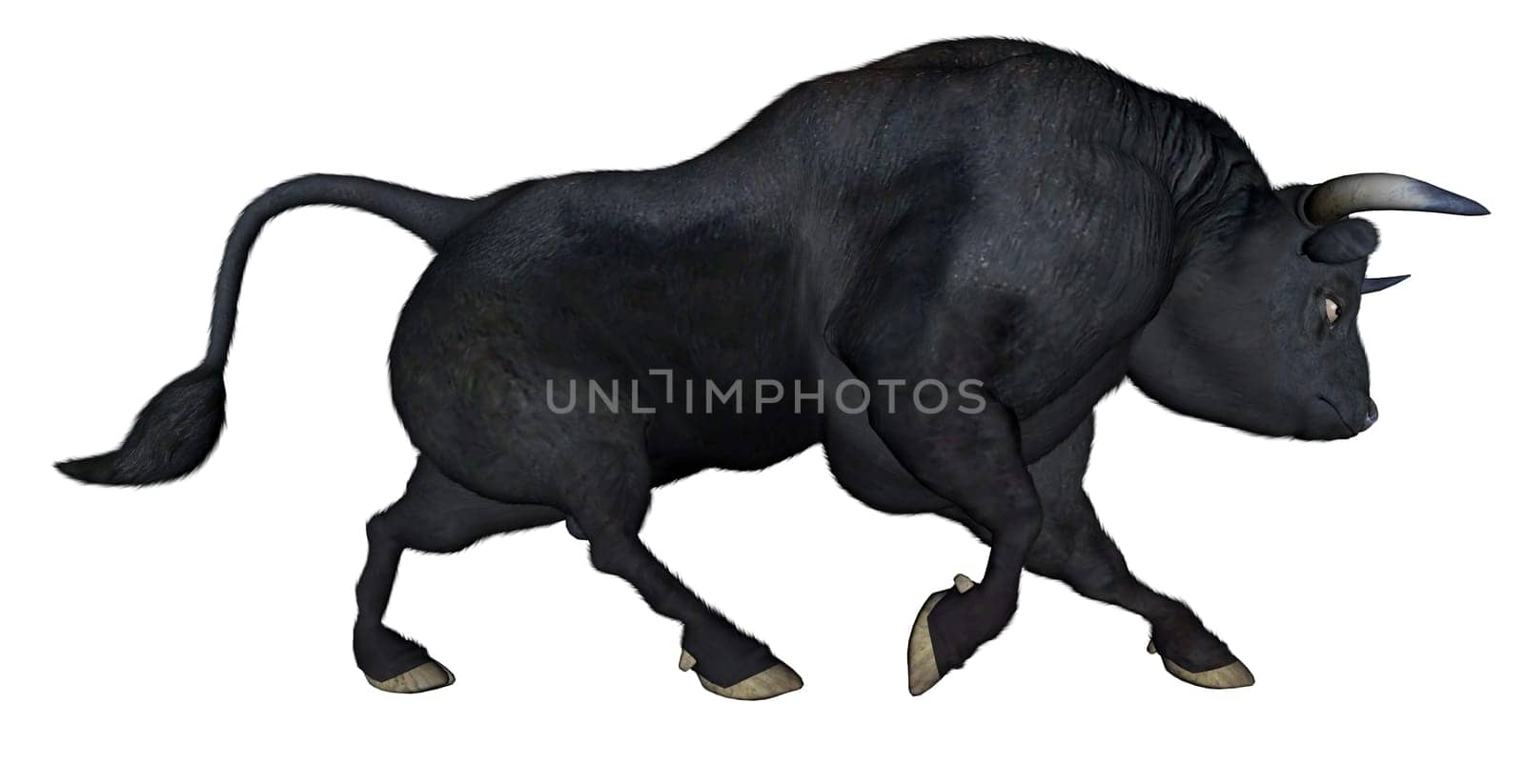 Bull charging isolated in white background- 3D render