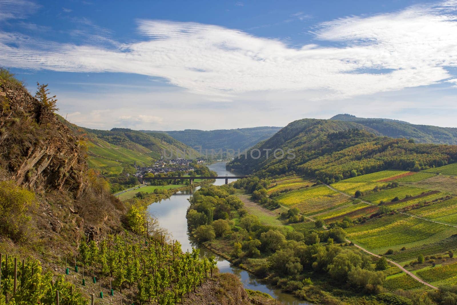 Moselle River in Germany, view of Calmont village and vineyards in the Mosel river valley, Germany