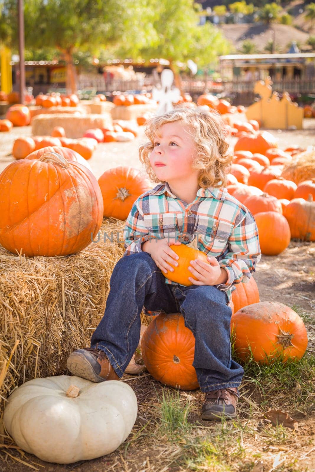Little Boy Sitting and Holding His Pumpkin in a Rustic Ranch Setting at the Pumpkin Patch.