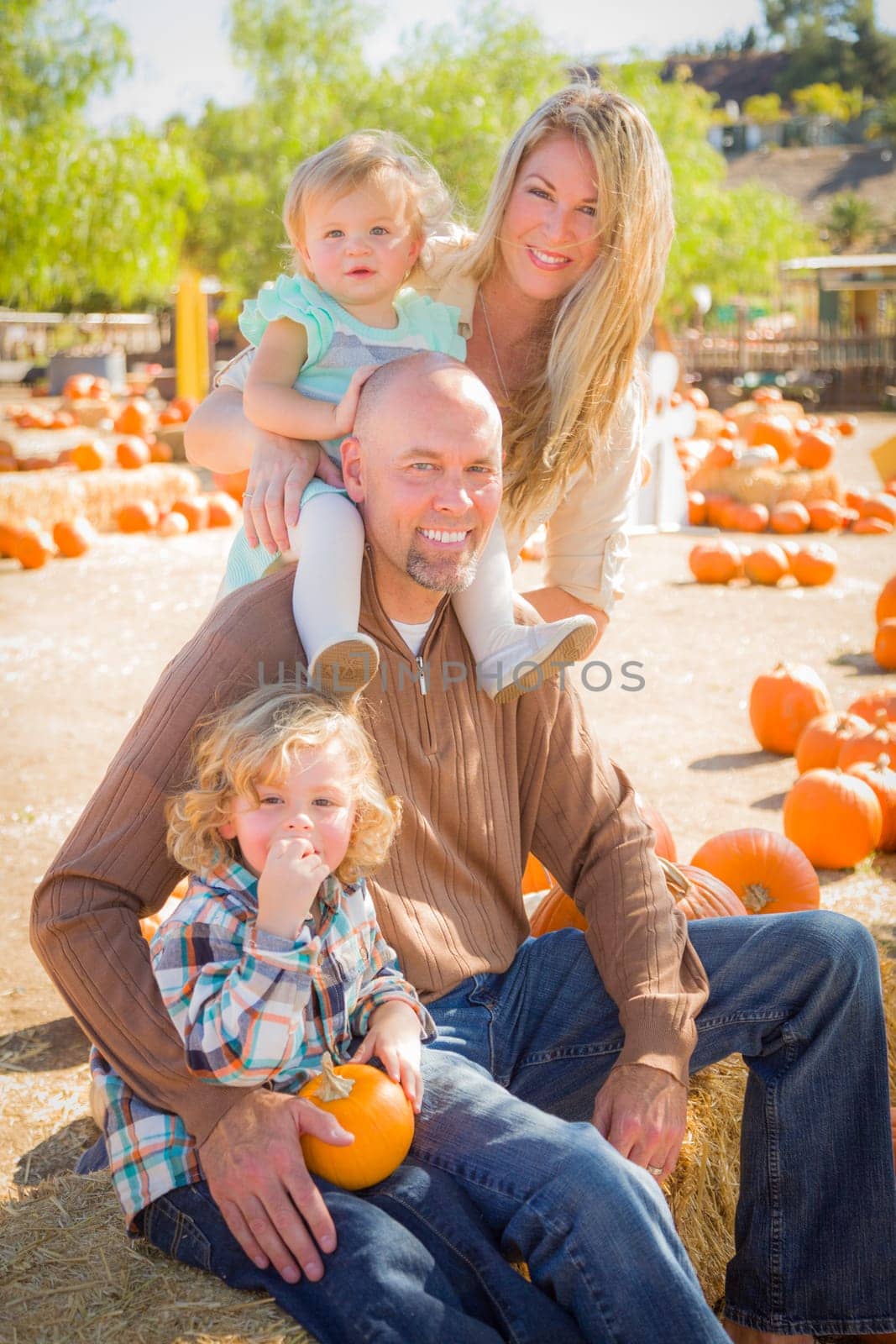Adorable Young Family Enjoys a Day at the Pumpkin Patch.