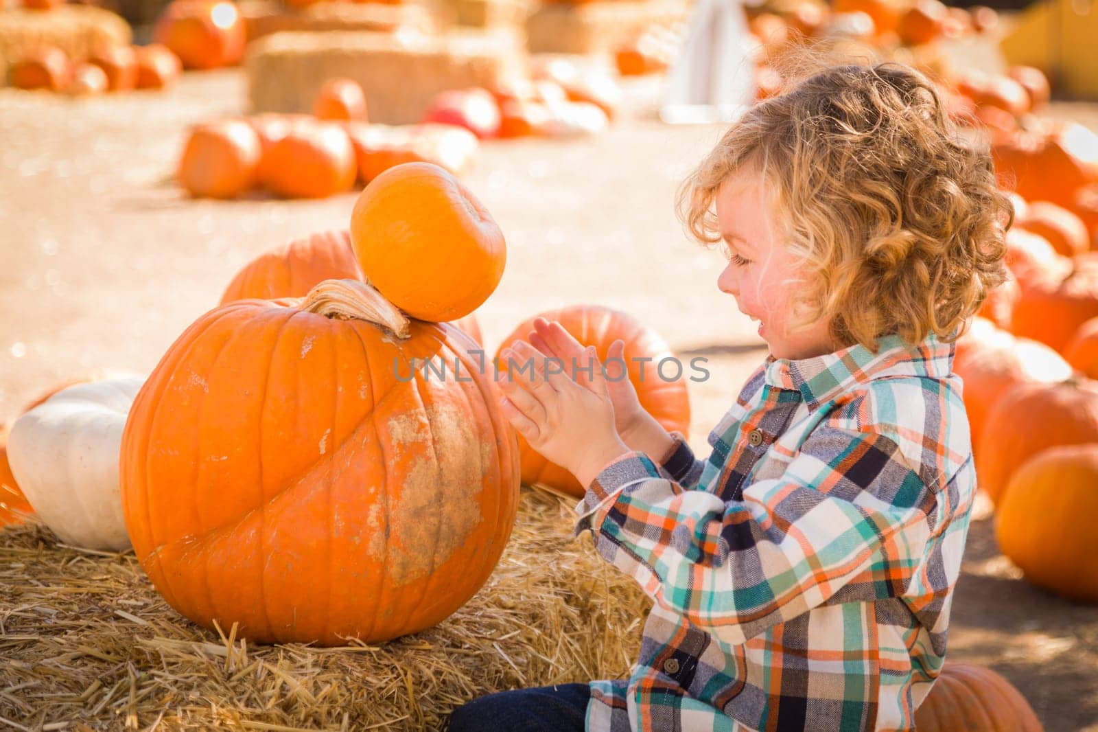 Little Boy Sitting and Holding His Pumpkin in a Rustic Ranch Setting at the Pumpkin Patch.