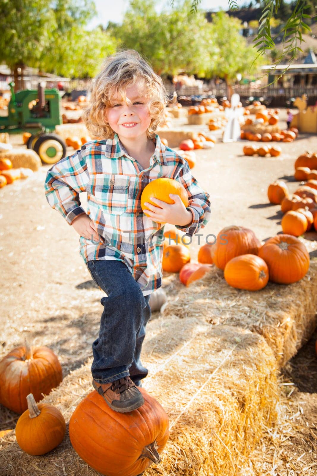 Little Boy Standing in a Rustic Ranch Setting at the Pumpkin Patch.