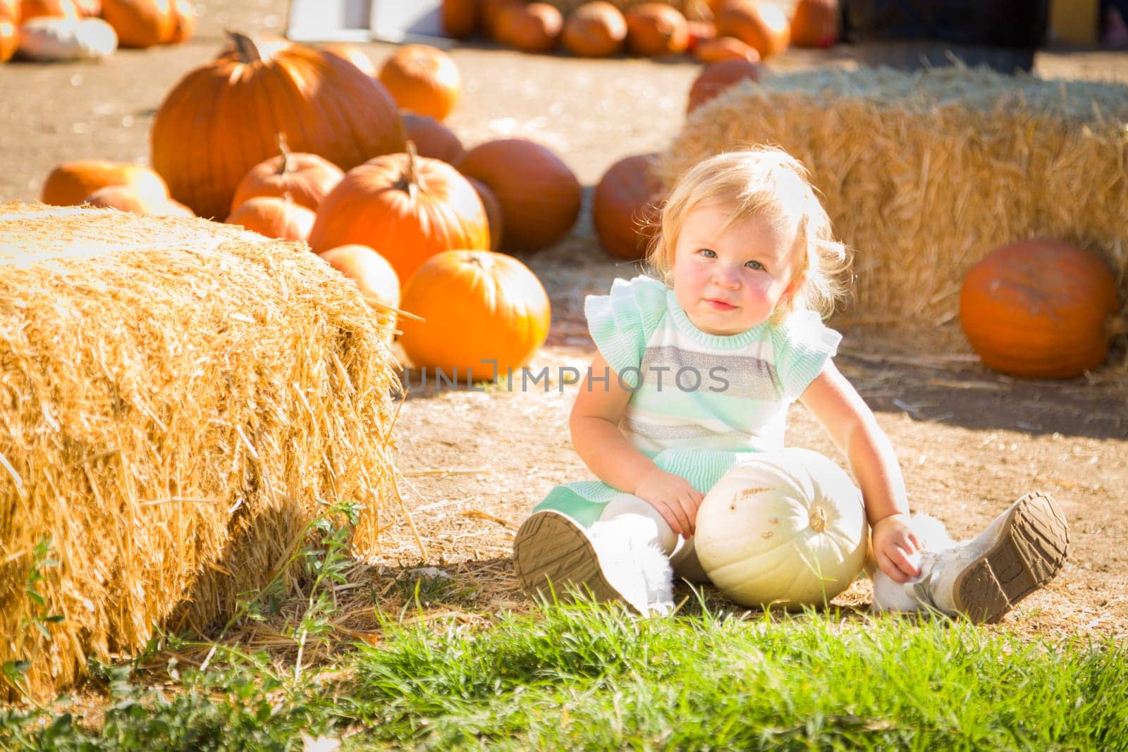 Adorable Baby Girl Having Fun in a Rustic Ranch Setting at the Pumpkin Patch.