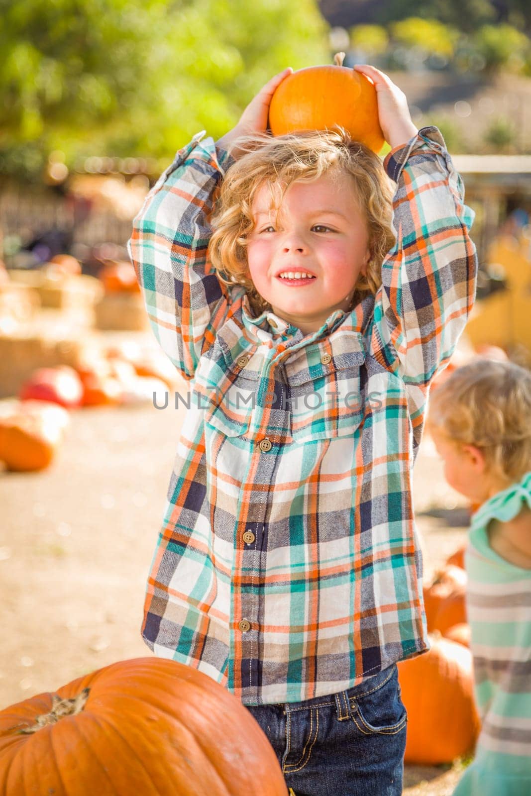 Little Boy Standing in a Rustic Ranch Setting at the Pumpkin Patch.