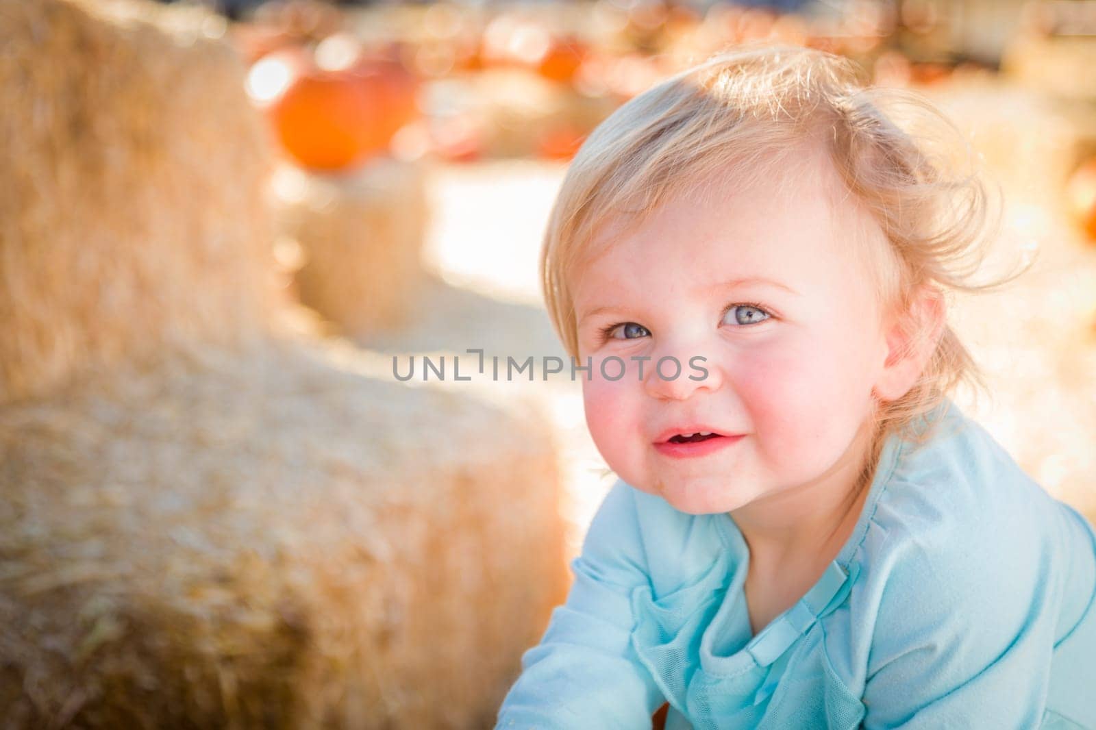 Adorable Baby Girl Having Fun in a Rustic Ranch Setting at the Pumpkin Patch.