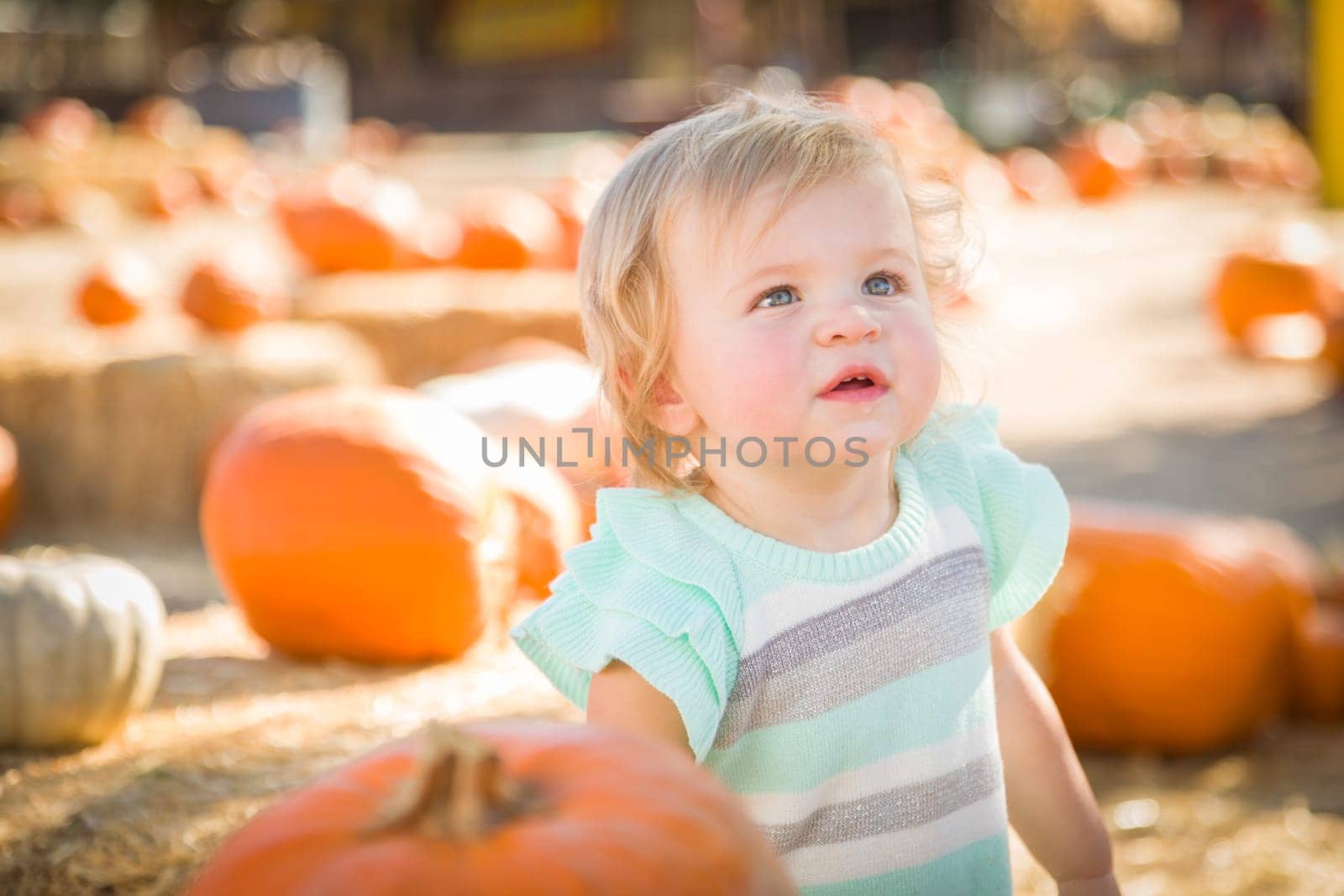 Adorable Baby Girl Having Fun in a Rustic Ranch Setting at the Pumpkin Patch.
