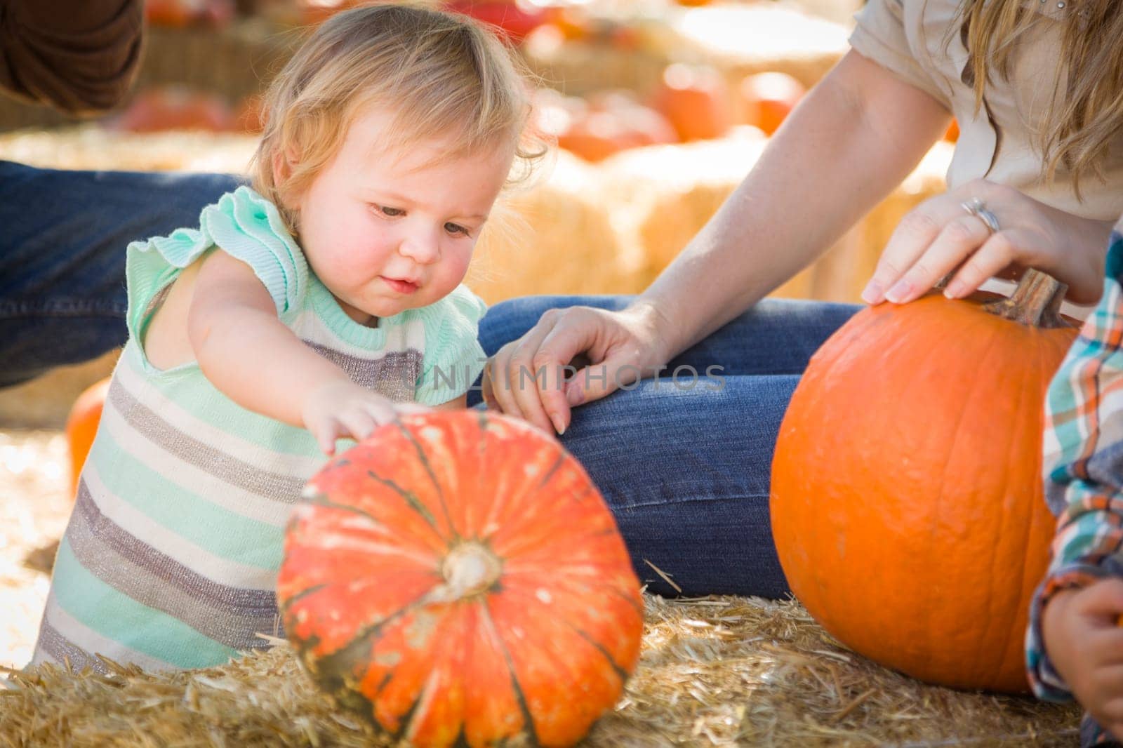 Adorable Young Family Enjoys a Day at the Pumpkin Patch.
