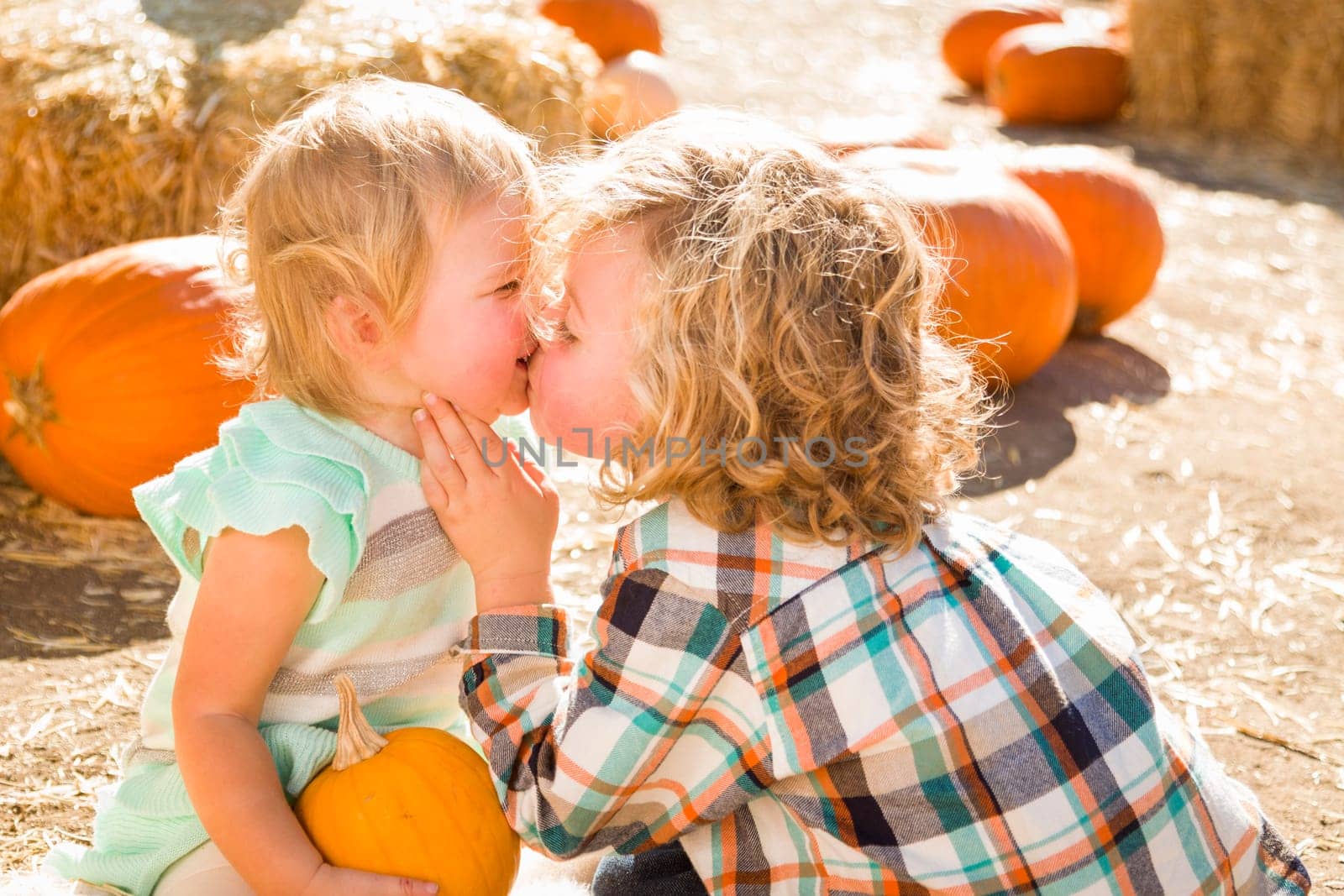 Sweet Little Boy Plays with His Baby Sister in a Rustic Ranch Setting at the Pumpkin Patch.