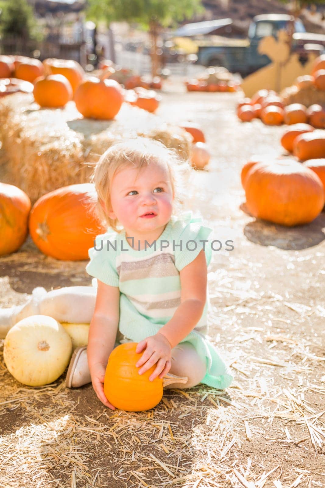 Adorable Baby Girl Having Fun in a Rustic Ranch Setting at the Pumpkin Patch.