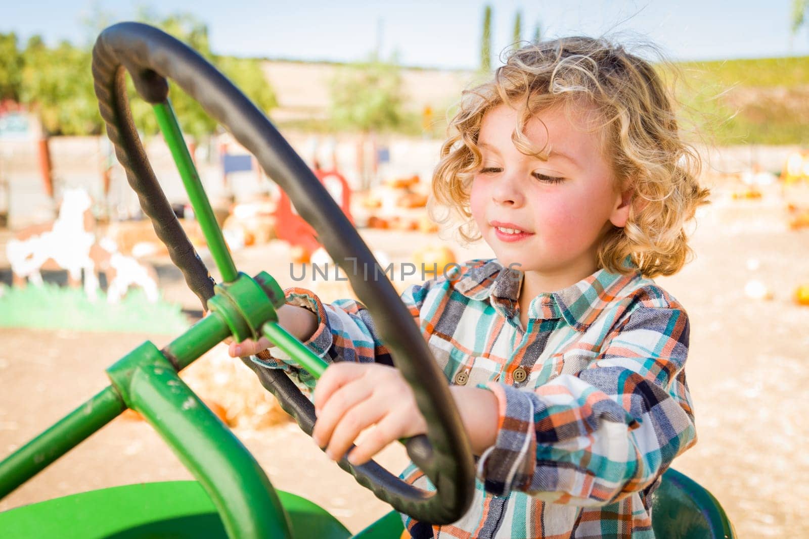 Little Boy Having Fun In A Tractor in a Rustic Ranch Setting at the Pumpkin Patch.