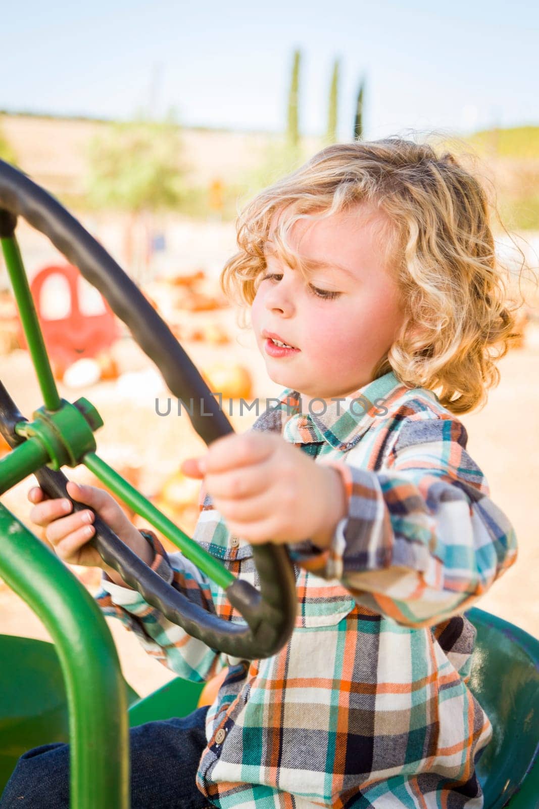 Little Boy Having Fun In A Tractor in a Rustic Ranch Setting at the Pumpkin Patch.