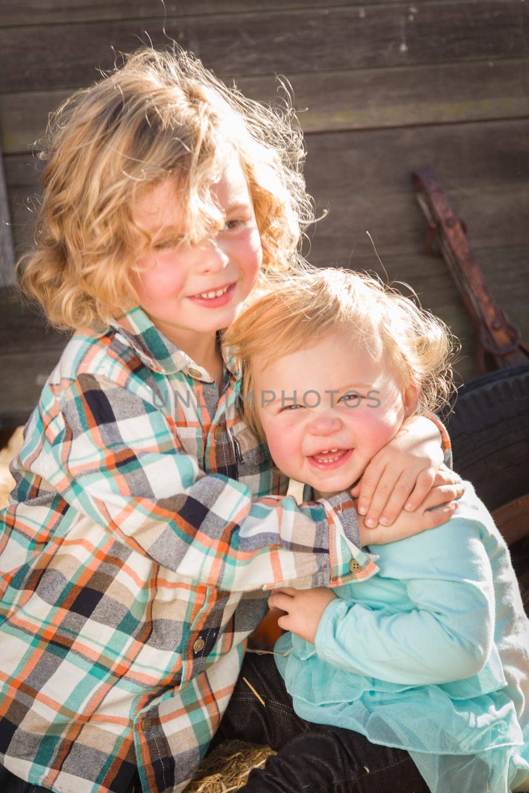 Sweet Little Boy Plays with His Baby Sister in a Rustic Ranch Setting at the Pumpkin Patch.
