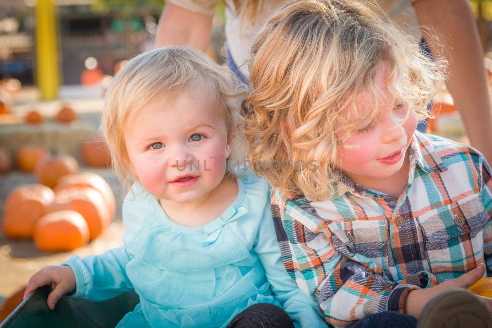 Sweet Little Boy Plays with His Baby Sister in a Rustic Ranch Setting at the Pumpkin Patch.