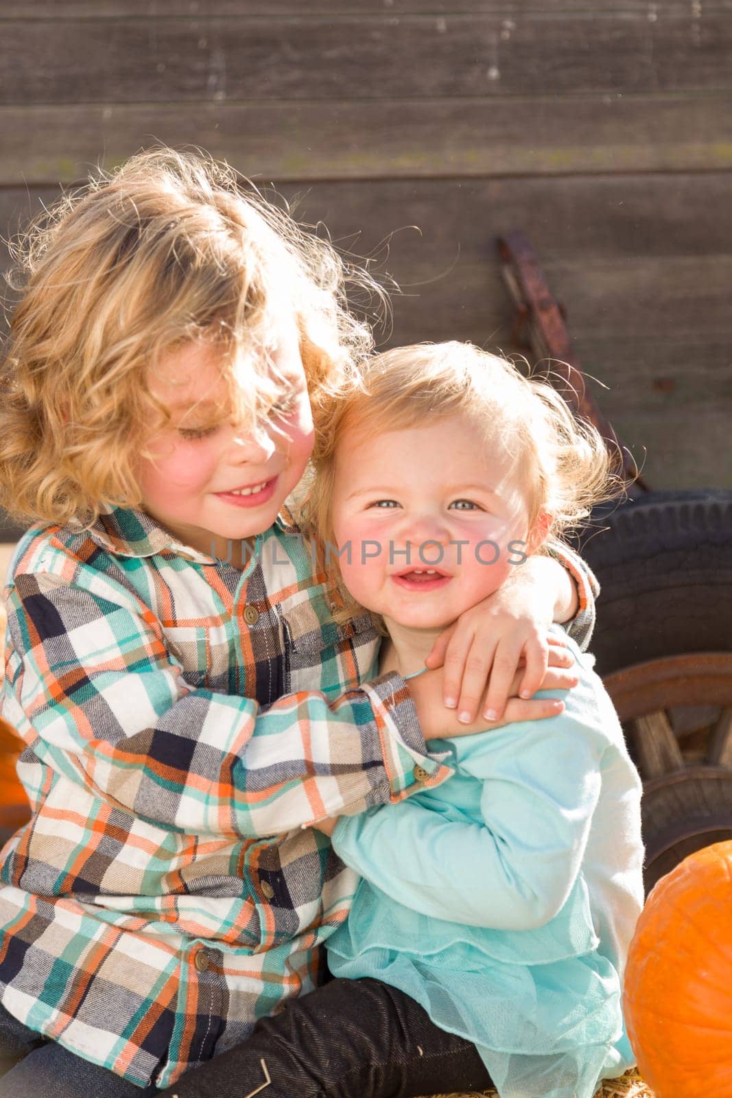 Sweet Little Boy Plays with His Baby Sister in a Rustic Ranch Setting at the Pumpkin Patch.
