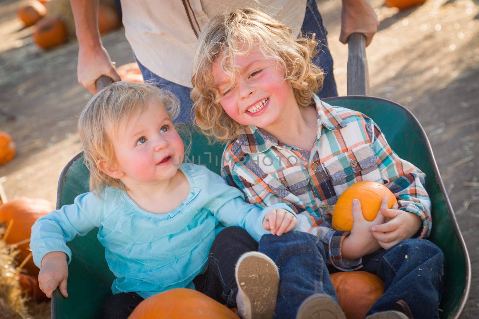 Sweet Little Boy Plays with His Baby Sister in a Rustic Ranch Setting at the Pumpkin Patch.