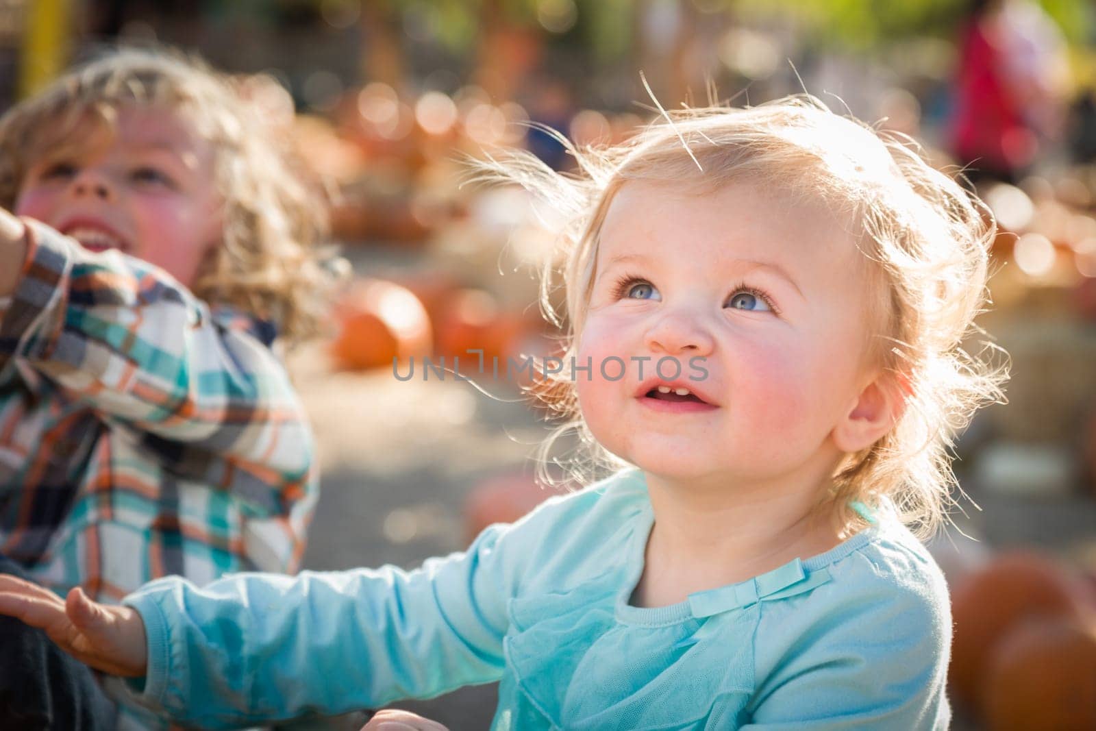 Sweet Little Boy Plays with His Baby Sister in a Rustic Ranch Setting at the Pumpkin Patch.