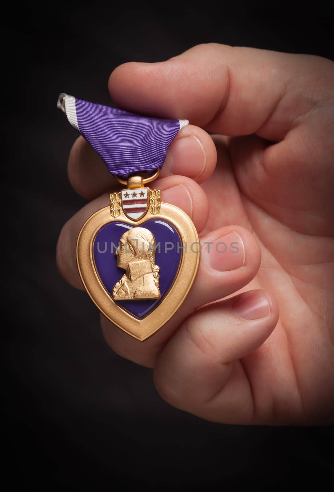 Male Hand Holding the Armed Forces Purple Heart Metal.